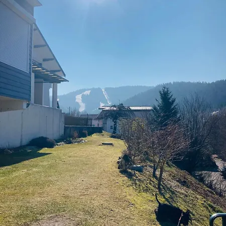 Le Nid Des Tilleuls - Vue Sur Le * Gérardmer