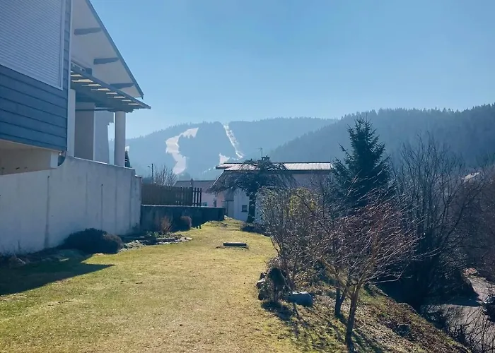 Les Tilleuls - Vue Sur Le Lac - 3 Etoiles * Gérardmer